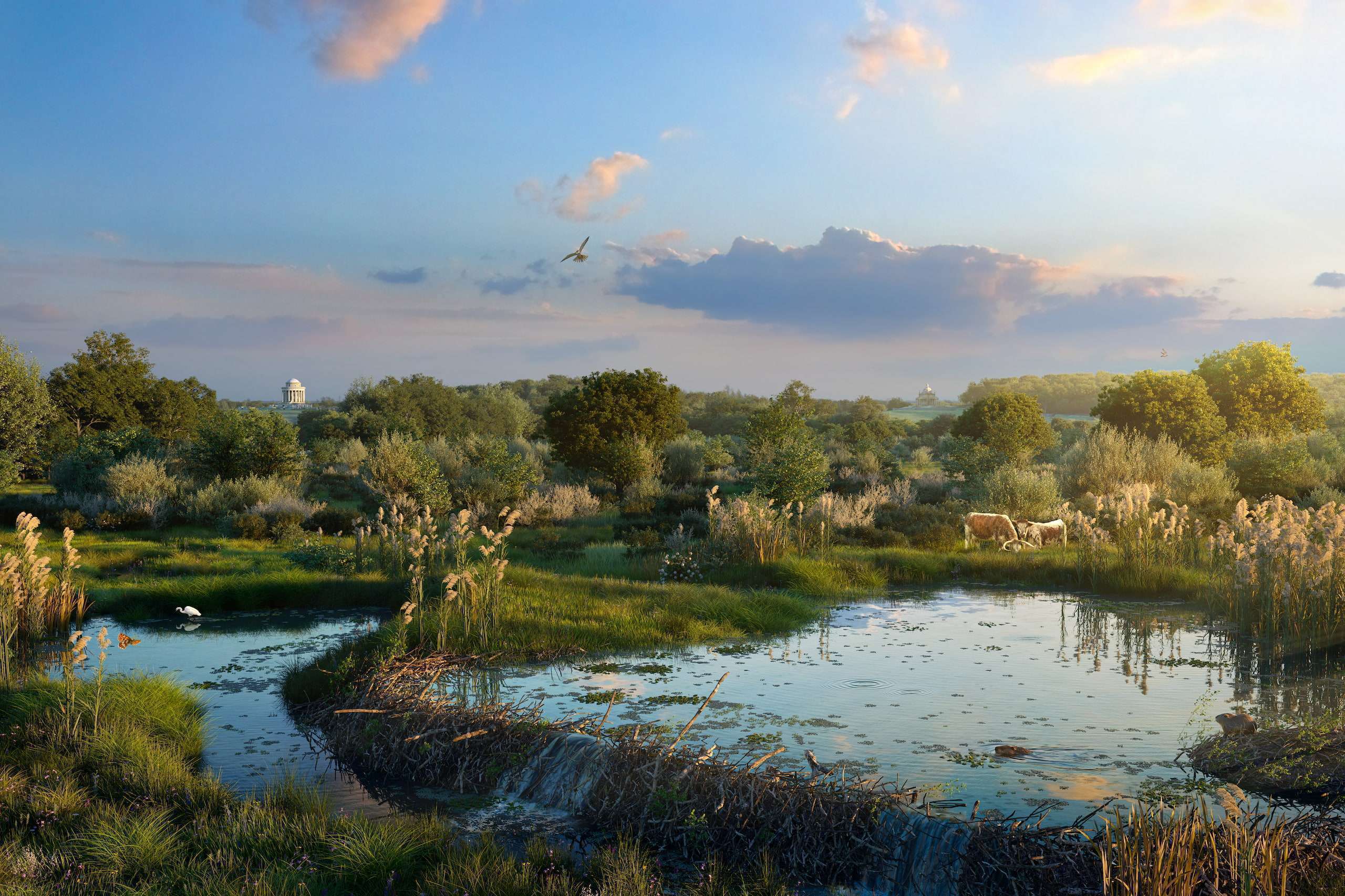 Castle Howard | Landscape Restoration & Re-wilding | The Ruby Cube