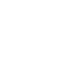 Dynamic Rivers logo