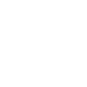 Essex County Council logo