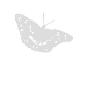 Knepp logo