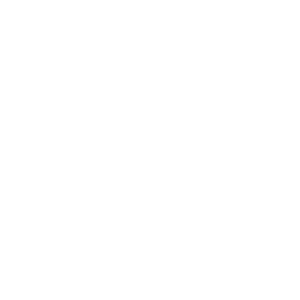 Zulu Ecosystems logo