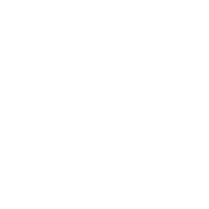 TS Design logo