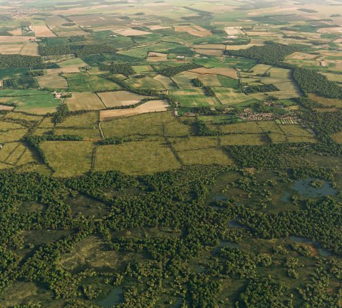 Project Type: BNG Visualisation | Ecology | Landscape Regeneration Client: Escrick Park Estate