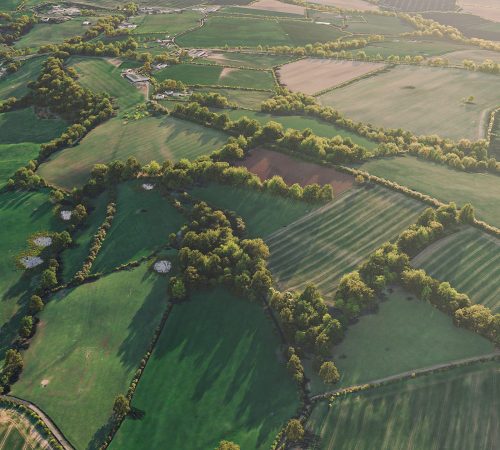 Visualising increased connectivity for wildlife through expanded hedgerows and scrub - linking to existing woodland and creating corridors for nature.