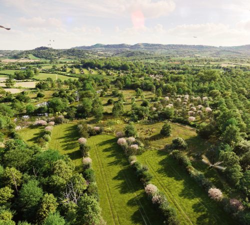 Project Type: Landscape Regeneration | Agroforestry | Ecology
Client: Gloucestershire Wildlife Trust Agroforestry Visualisation by The Ruby Cube for Gloucestershire Wildlife Trust