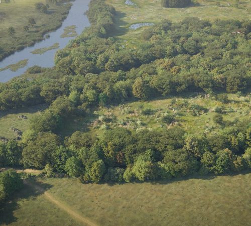 Project Type: BNG Habitat Bank Visualisation | Ecology
Location: West Sussex
Client: Knepp Estate