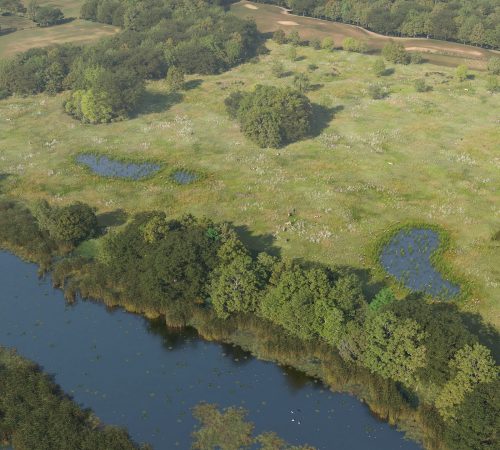 Project Type: BNG Habitat Bank Visualisation | Ecology
Location: West Sussex
Client: Knepp Estate