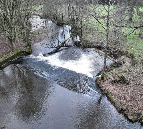 Project: Acorn Bank | Client: Dynamic Rivers/National Trust | Location: Cumbria, UK | Visuals by The Ruby Cube