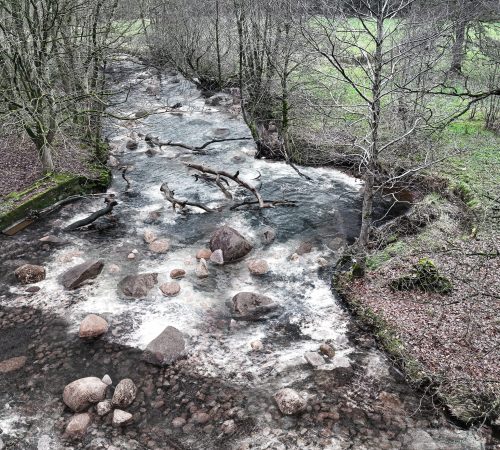 Project: Acorn Bank | Client: Dynamic Rivers/National Trust | Location: Cumbria, UK | Visuals by The Ruby Cube