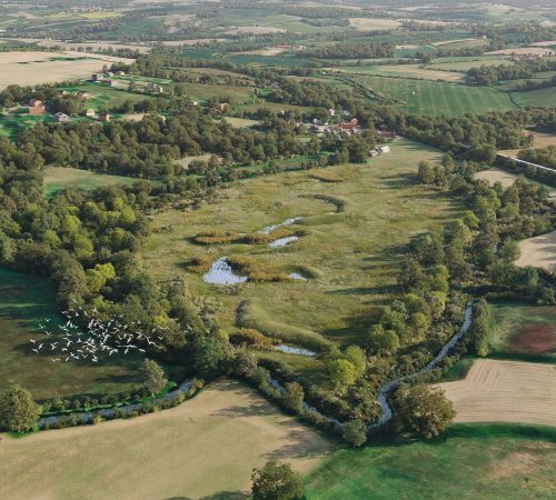 Project Type: BNG Visualisation | Ecology
Client: Wates Wildscape
Location: Ashford, Kent UK