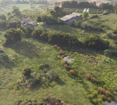 Location: Monmouthshire, Wales, UK | Client: Grange Project
Project Type: Rewilding | Ecology | Landscape Regeneration